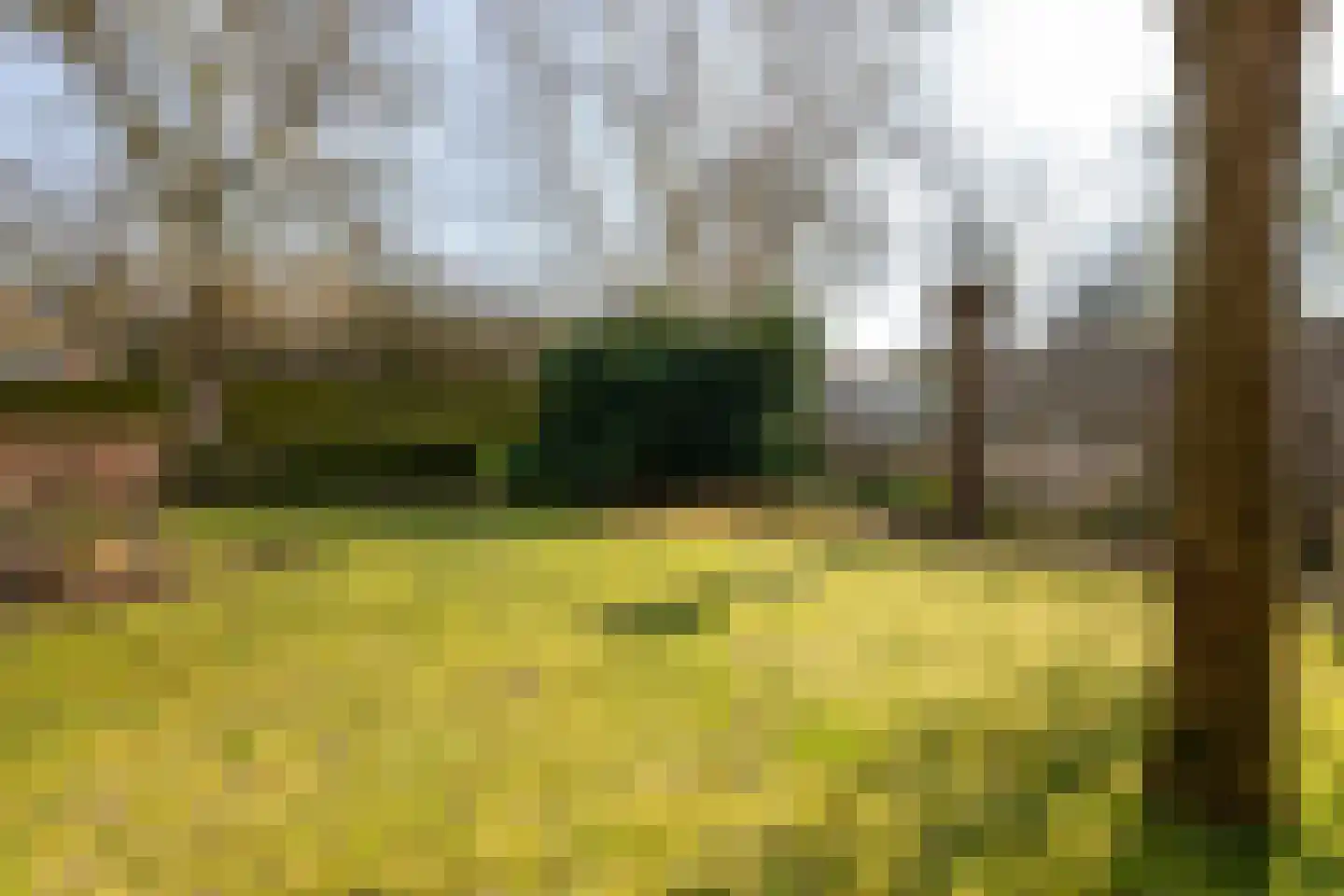 Rijksstraatweg 110 Haren Gn thumbnail 30