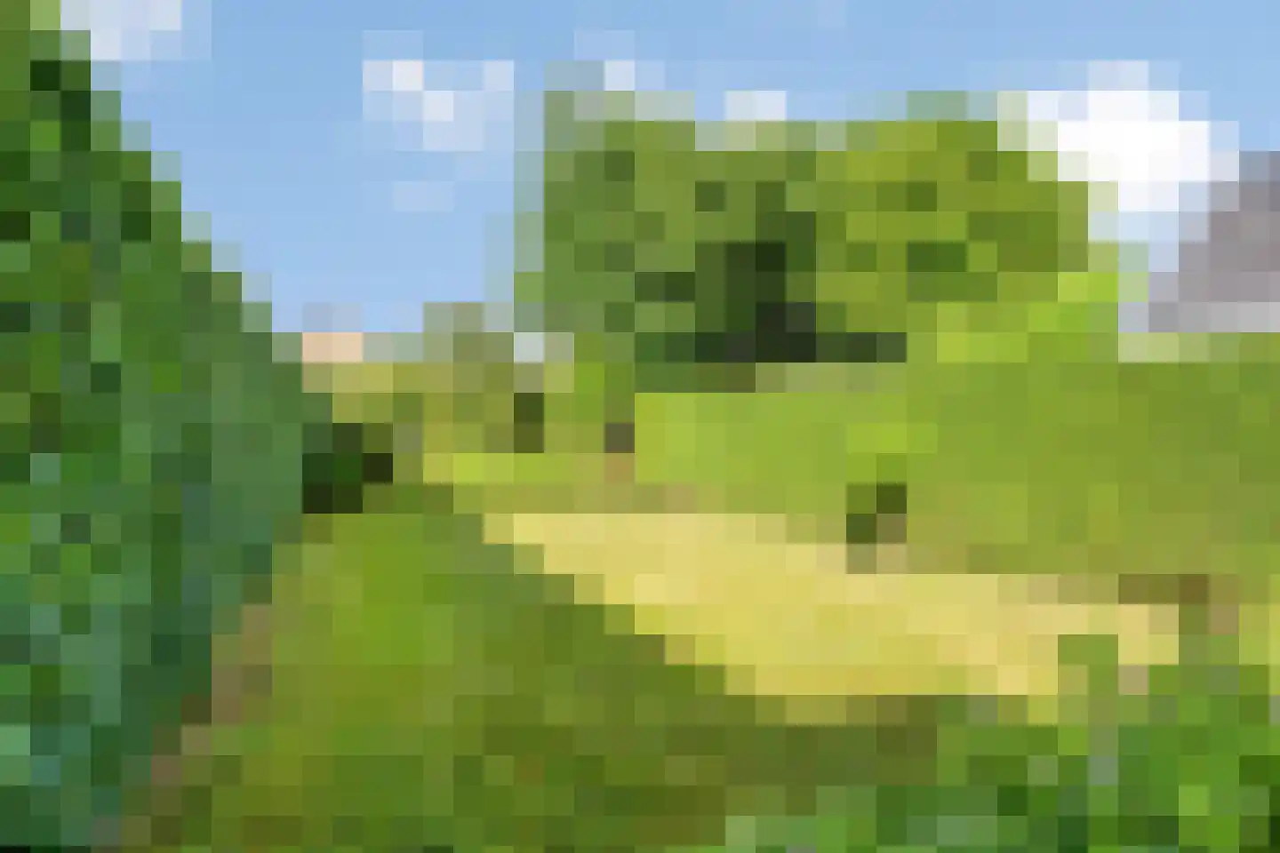 Rijksstraatweg 111 Haren Gn thumbnail 43