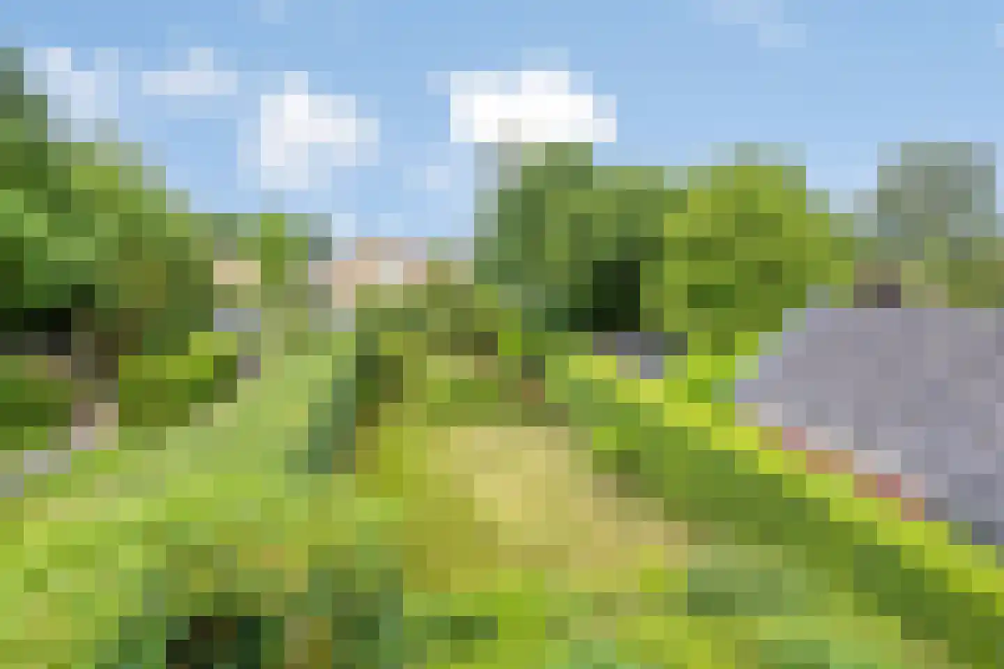 Rijksstraatweg 111 Haren Gn thumbnail 5