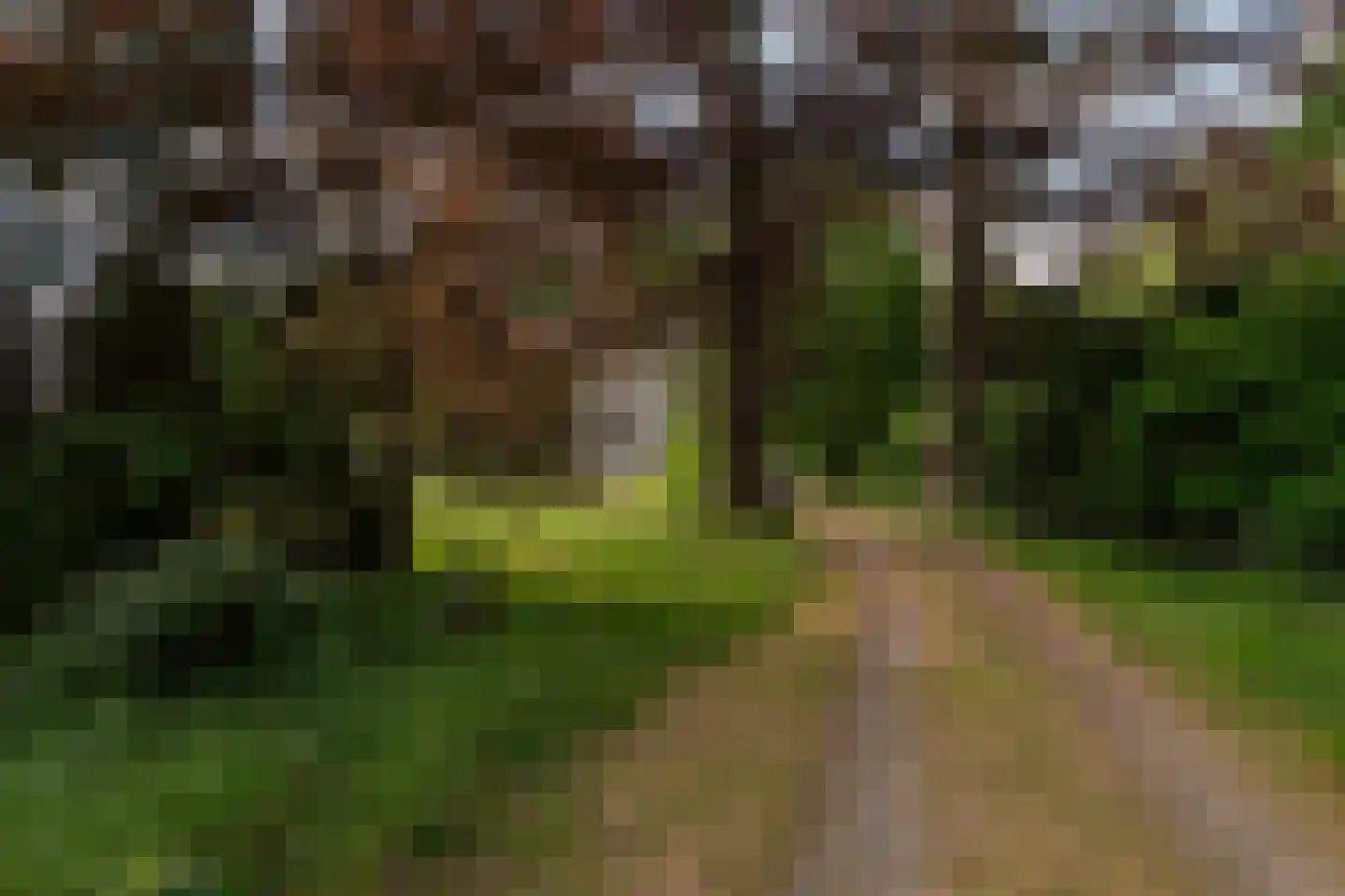 Rijksstraatweg 119 Warnsveld thumbnail 11