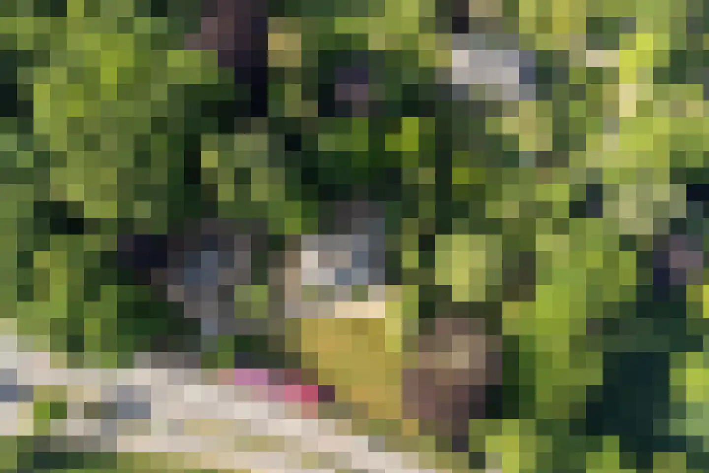 Rijksstraatweg 119 Warnsveld thumbnail 56