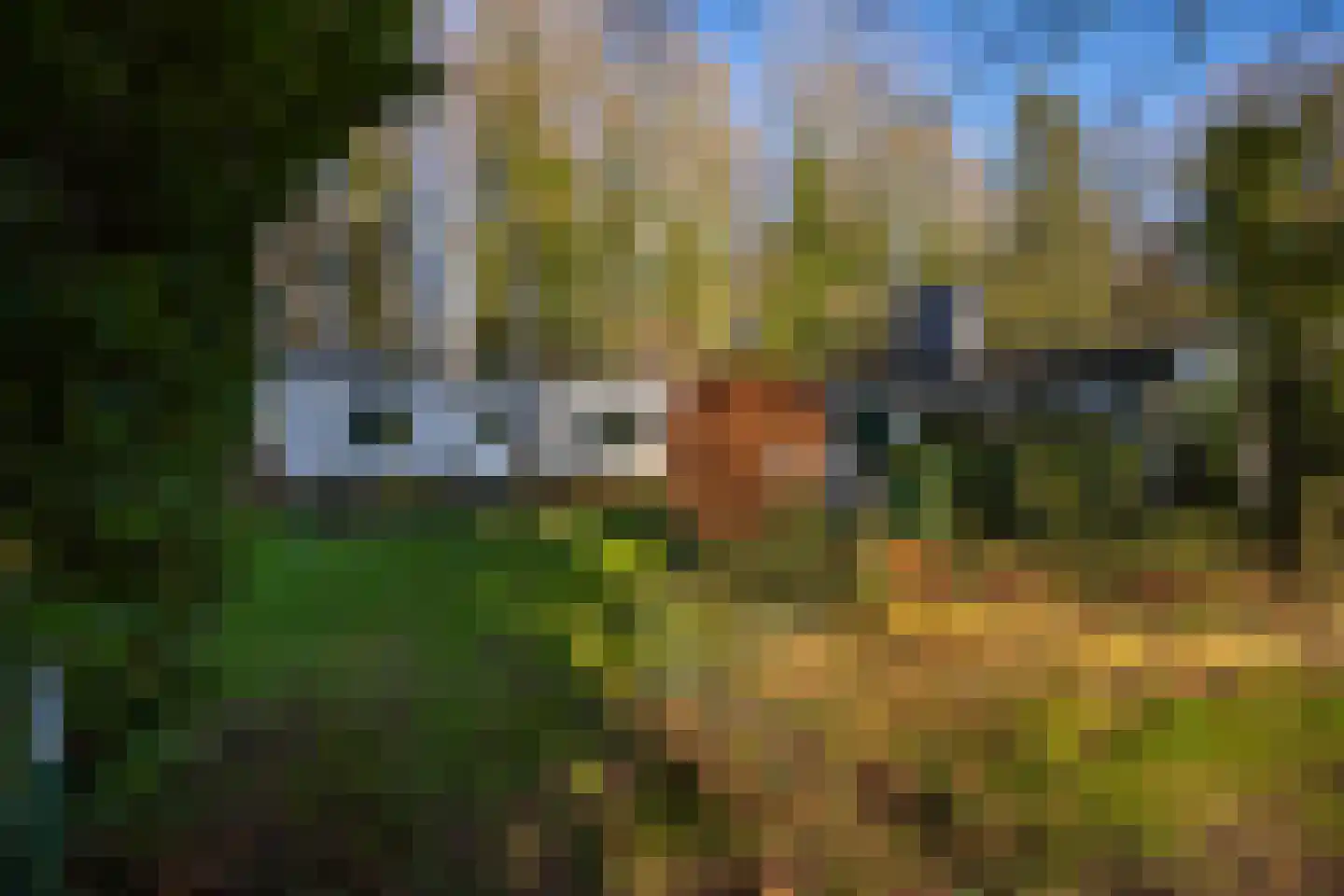 Rijksstraatweg 12 Twello thumbnail 52