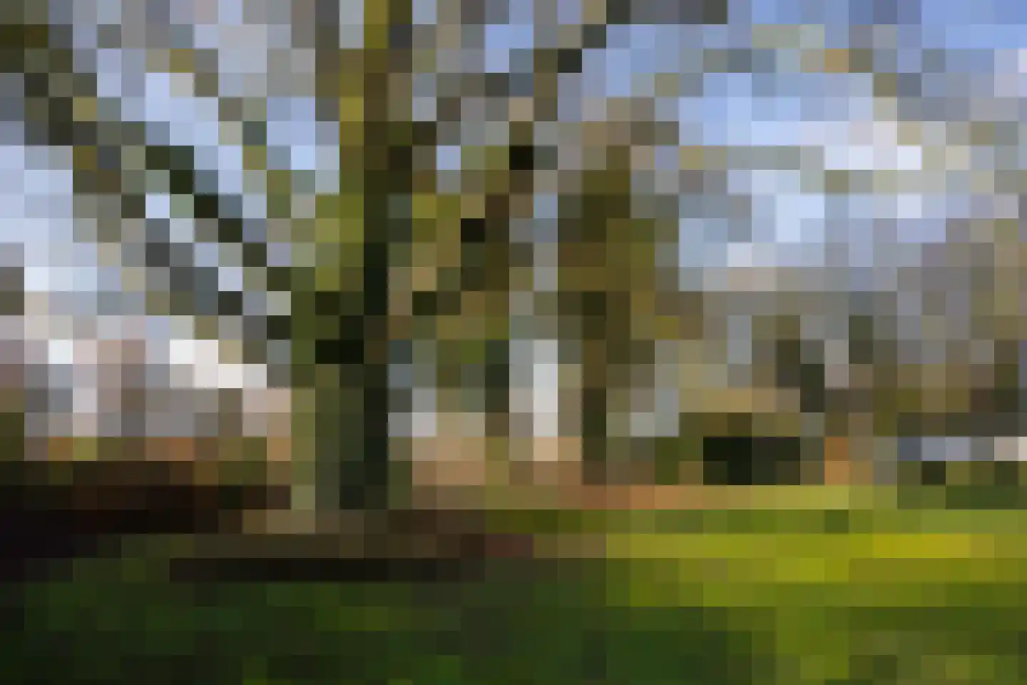 Rijksstraatweg 12 Twello thumbnail 60