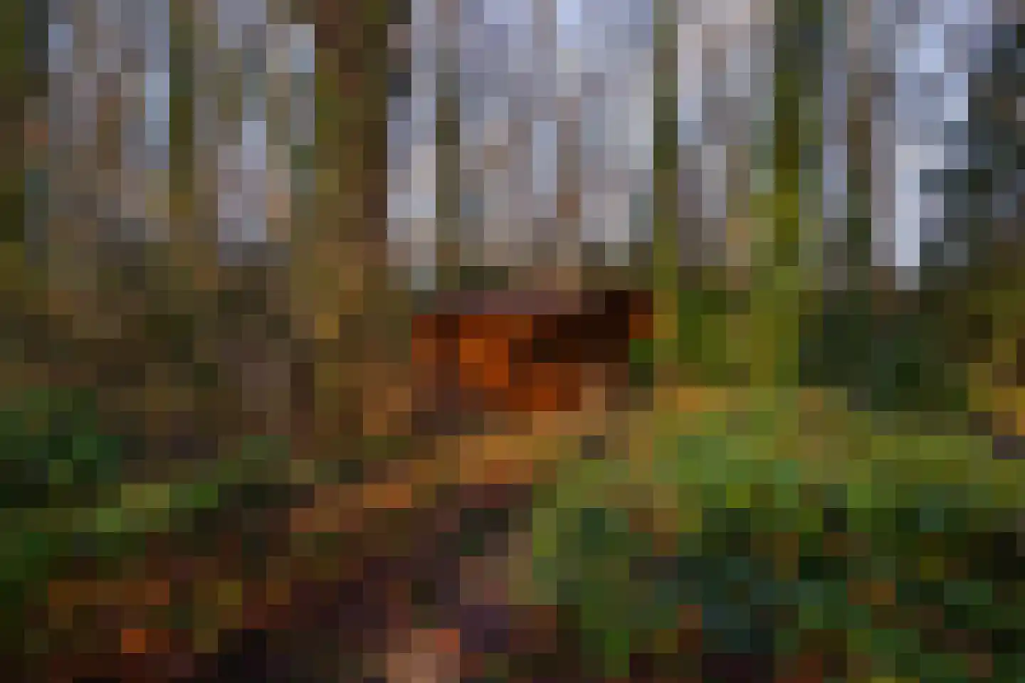 Rijksstraatweg 12 Twello thumbnail 77