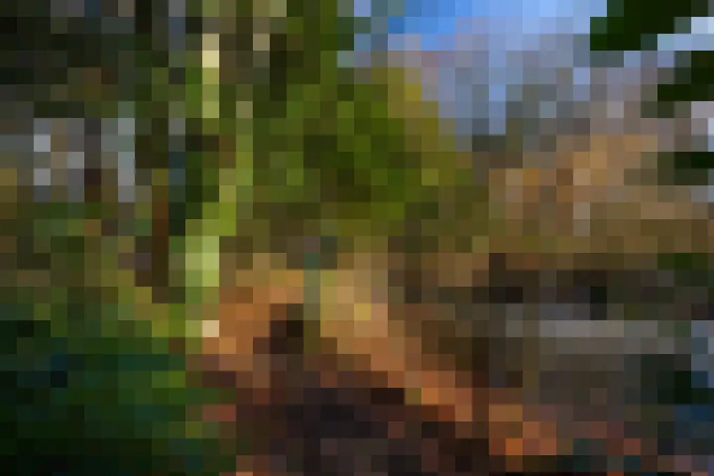 Rijksstraatweg 12 Twello thumbnail 79
