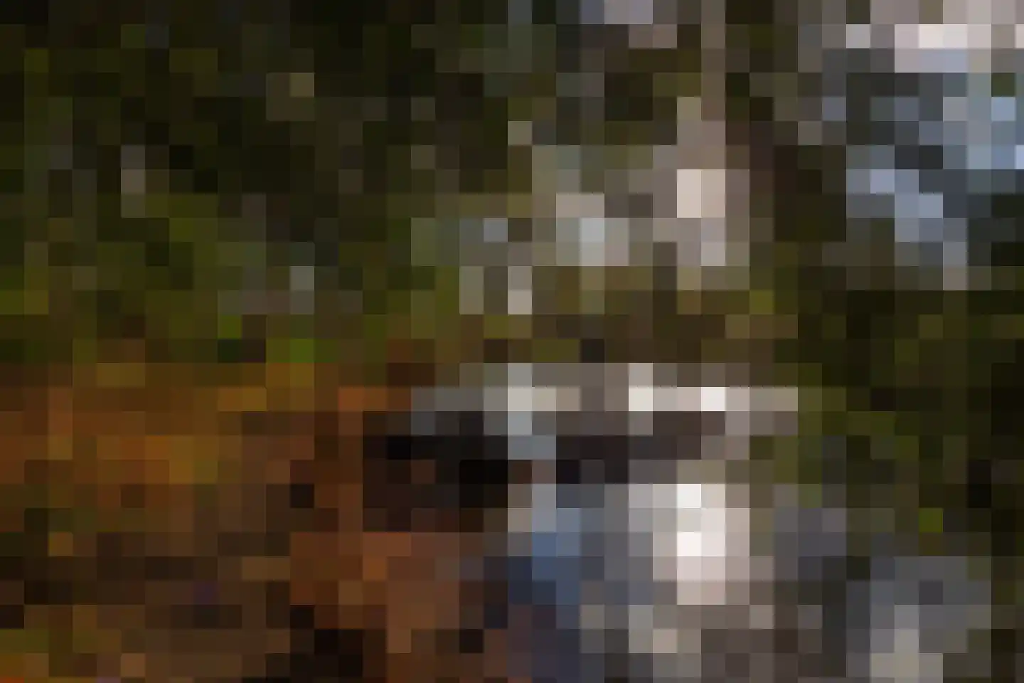 Rijksstraatweg 12 Twello thumbnail 80