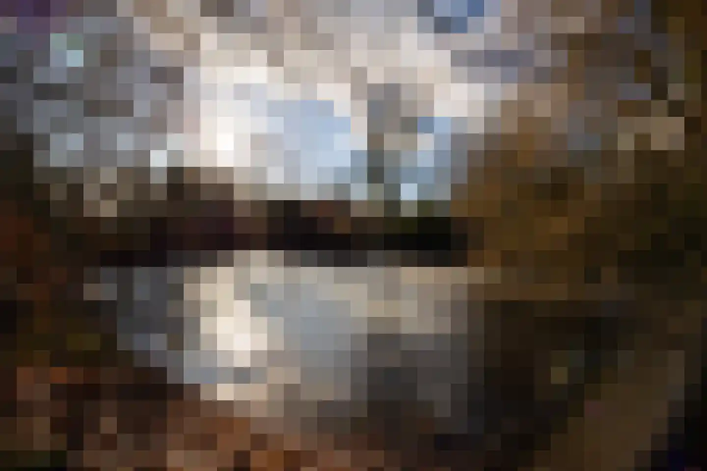 Rijksstraatweg 12 Twello thumbnail 81