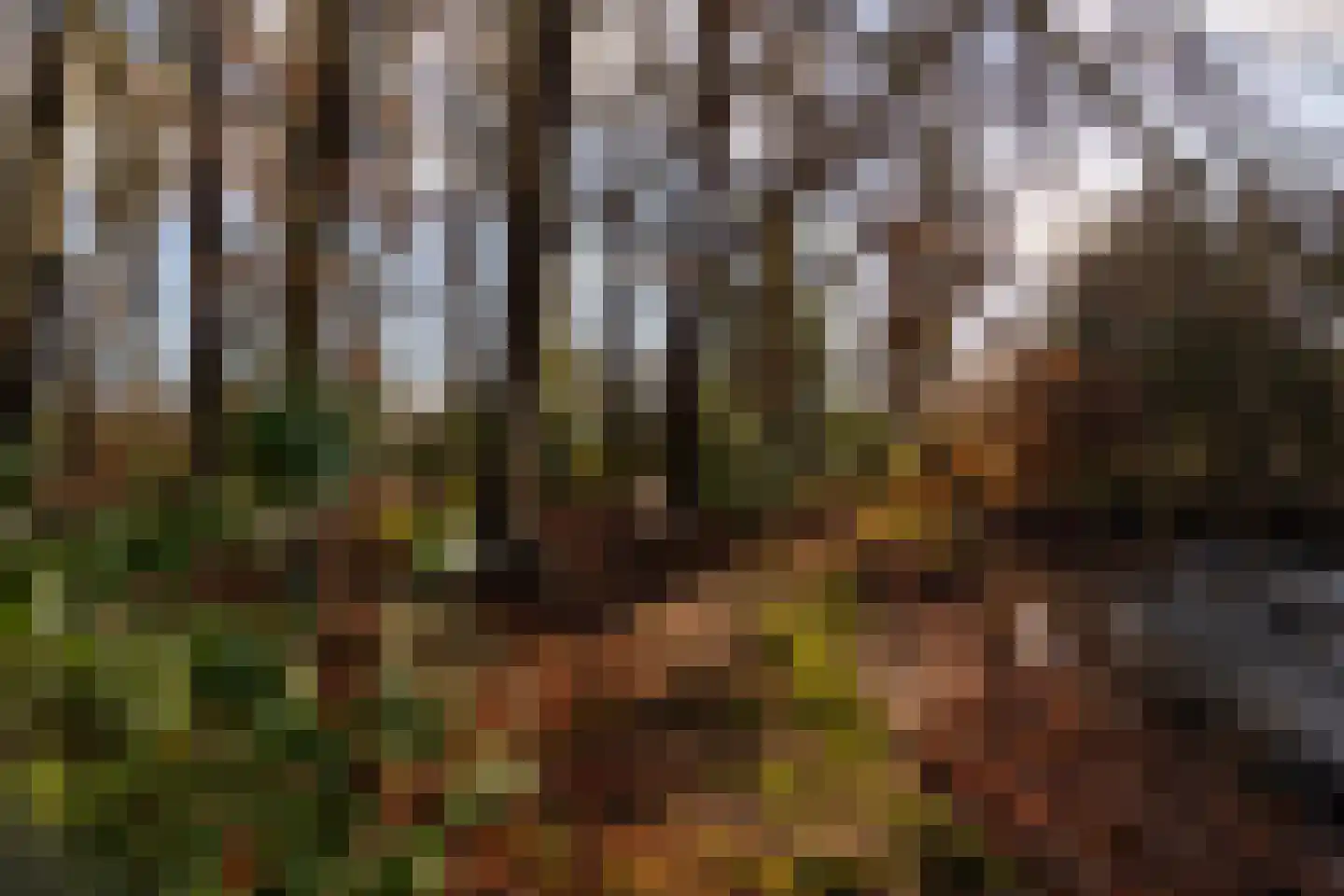Rijksstraatweg 12 Twello thumbnail 82