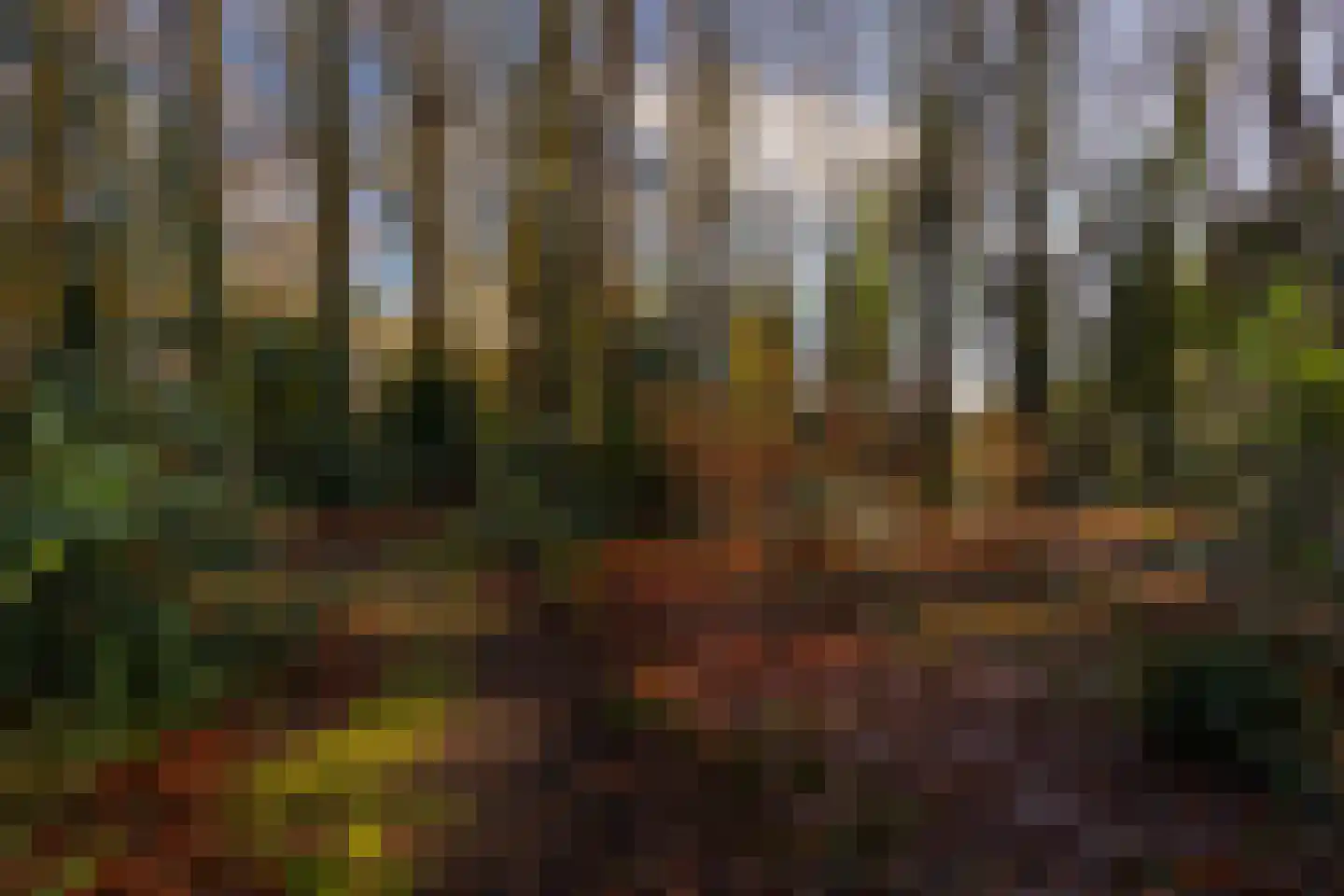 Rijksstraatweg 12 Twello thumbnail 85