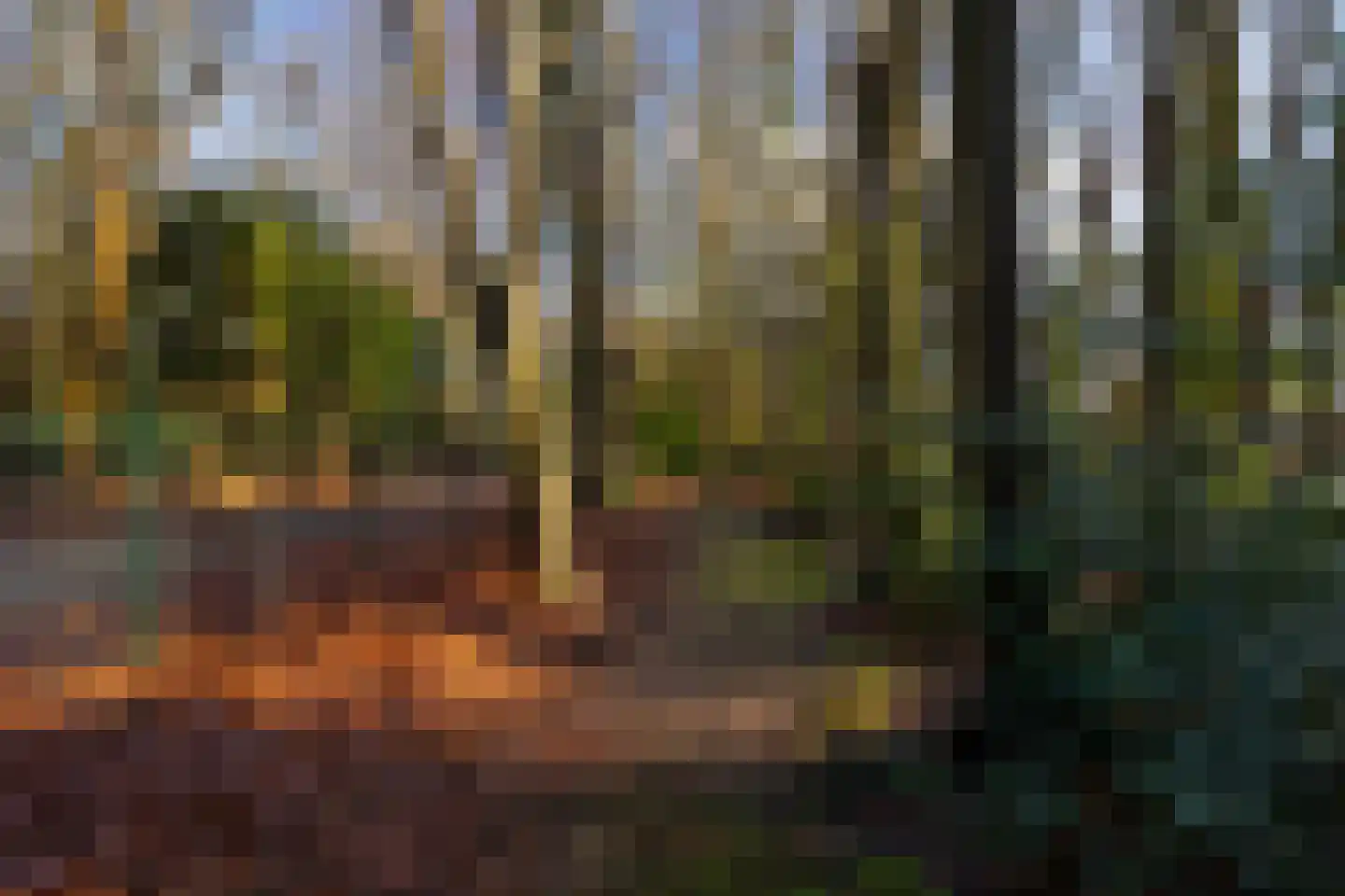 Rijksstraatweg 12 Twello thumbnail 86