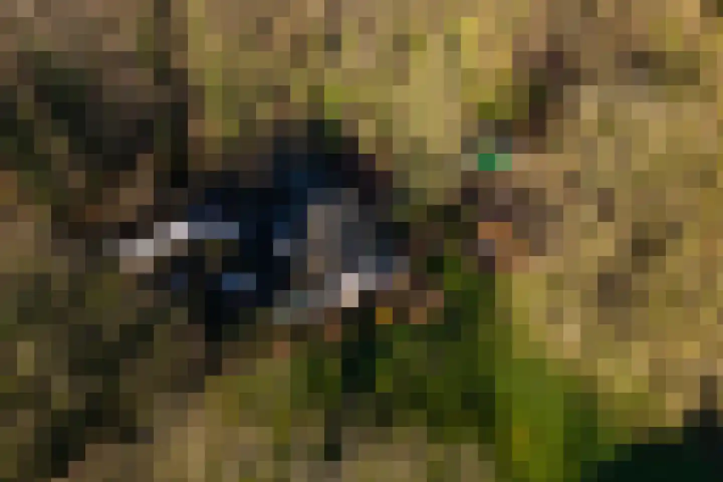 Rijksstraatweg 12 Twello thumbnail 89
