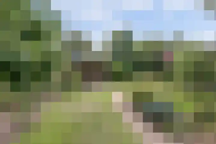 Rijksstraatweg 120 Warnsveld thumbnail 44