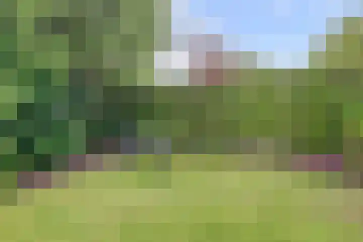 Rijksstraatweg 120 Warnsveld thumbnail 45
