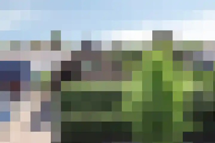 Rijksstraatweg 121 Voorst thumbnail 35