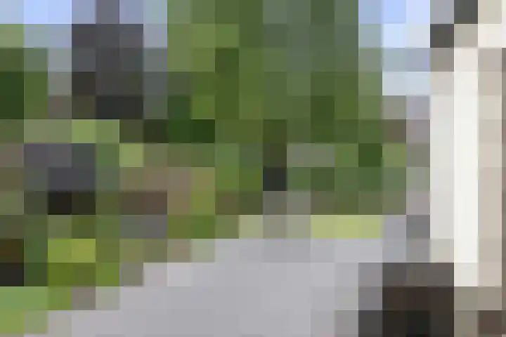 Rijksstraatweg 122 Voorst thumbnail 28