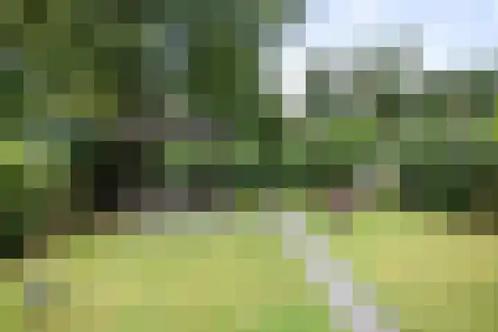 Rijksstraatweg 122 Voorst thumbnail 29