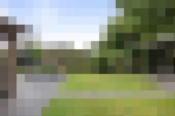 Rijksstraatweg 122 Voorst thumbnail 30
