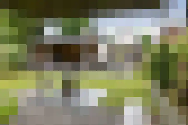 Rijksstraatweg 122 Voorst thumbnail 33