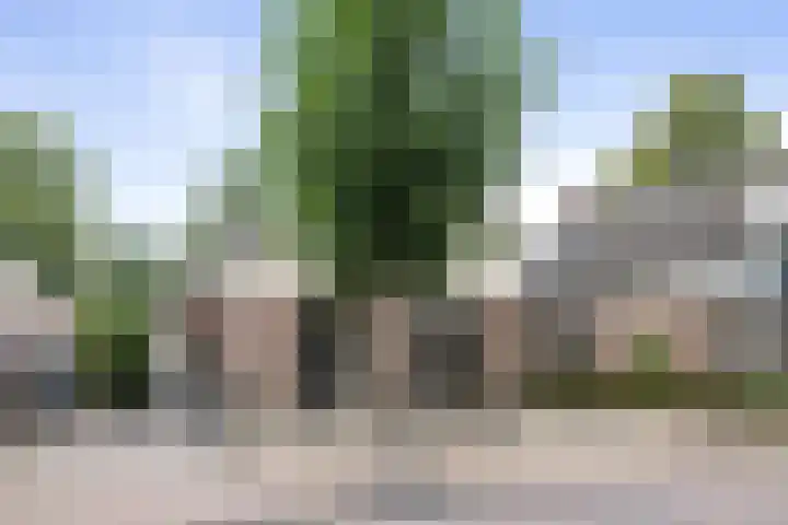 Rijksstraatweg 122 Voorst thumbnail 35