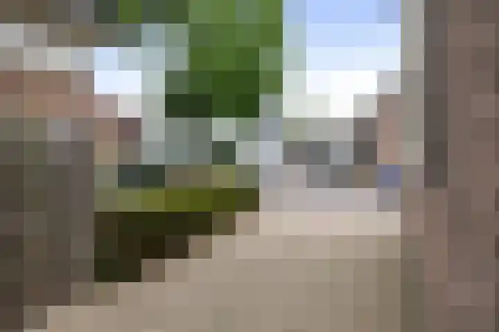 Rijksstraatweg 122 Voorst thumbnail 36