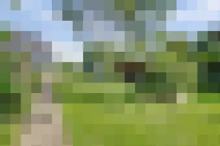 Rijksstraatweg 127 Twello thumbnail 37