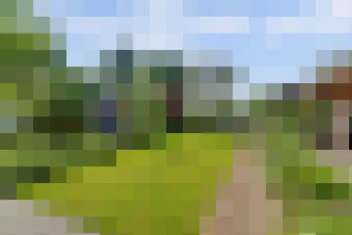 Rijksstraatweg 127 Twello thumbnail 38