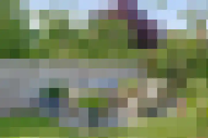 Rijksstraatweg 127 Twello thumbnail 39