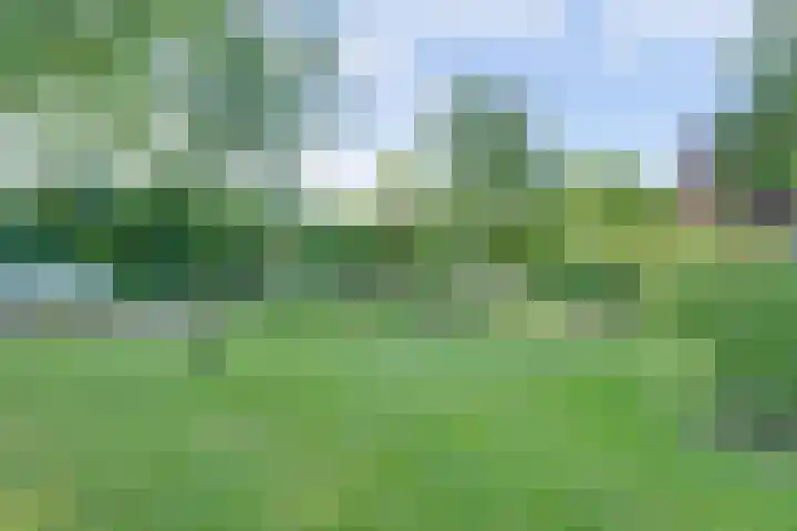 Rijksstraatweg 127 Twello thumbnail 41