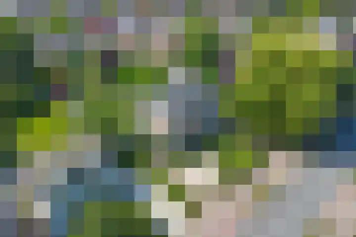 Rijksstraatweg 127 Twello thumbnail 43
