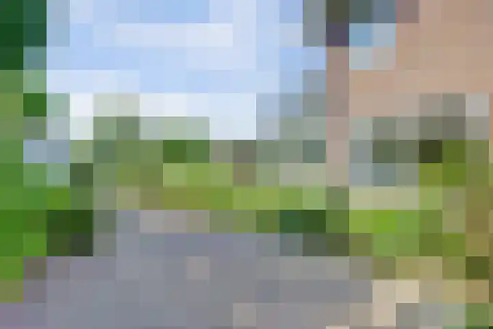 Rijksstraatweg 127 Twello thumbnail 5