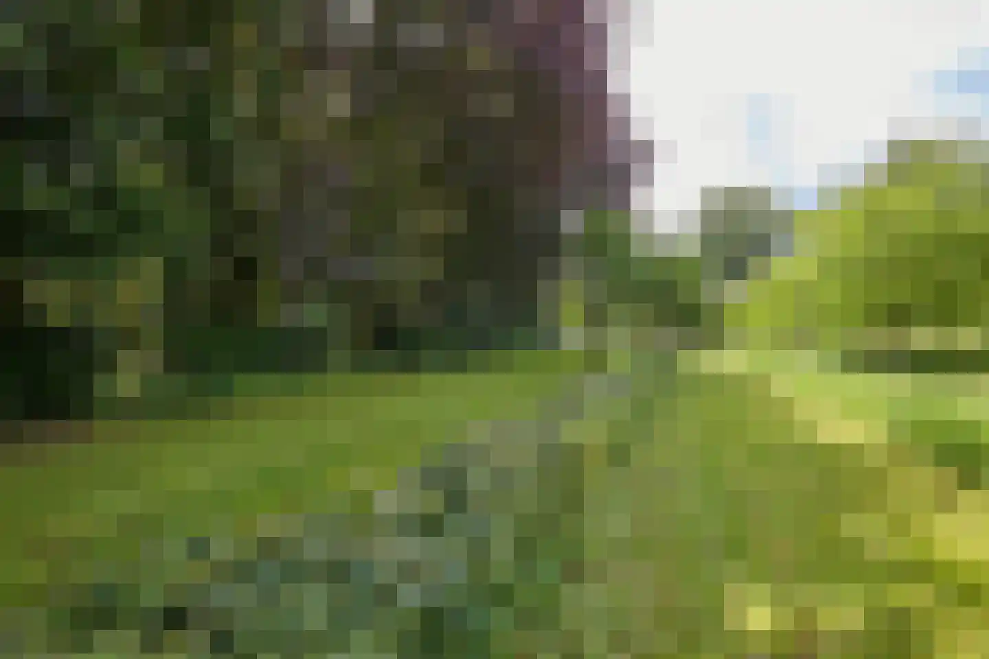 Rijksstraatweg 128 Glimmen thumbnail 10