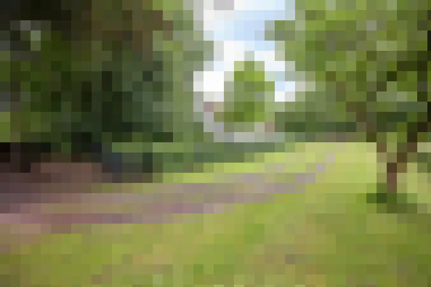 Rijksstraatweg 128 Glimmen thumbnail 11