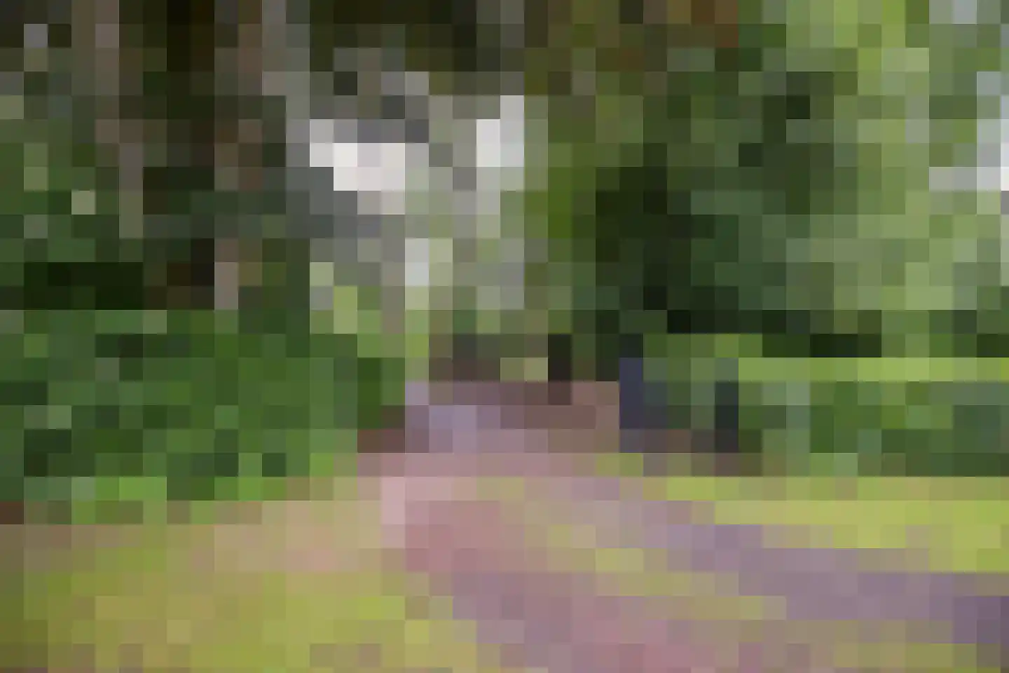 Rijksstraatweg 128 Glimmen thumbnail 12