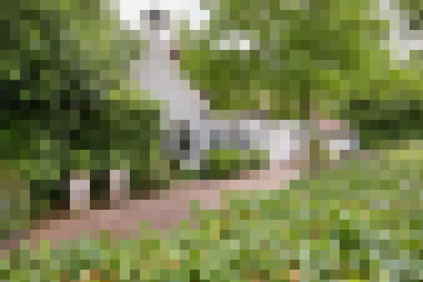 Rijksstraatweg 128 Glimmen thumbnail 14