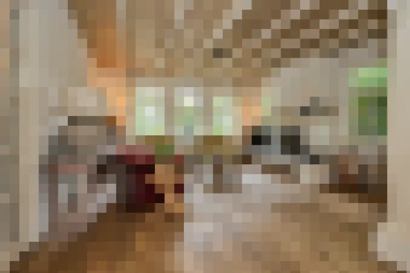 Rijksstraatweg 128 Glimmen thumbnail 17