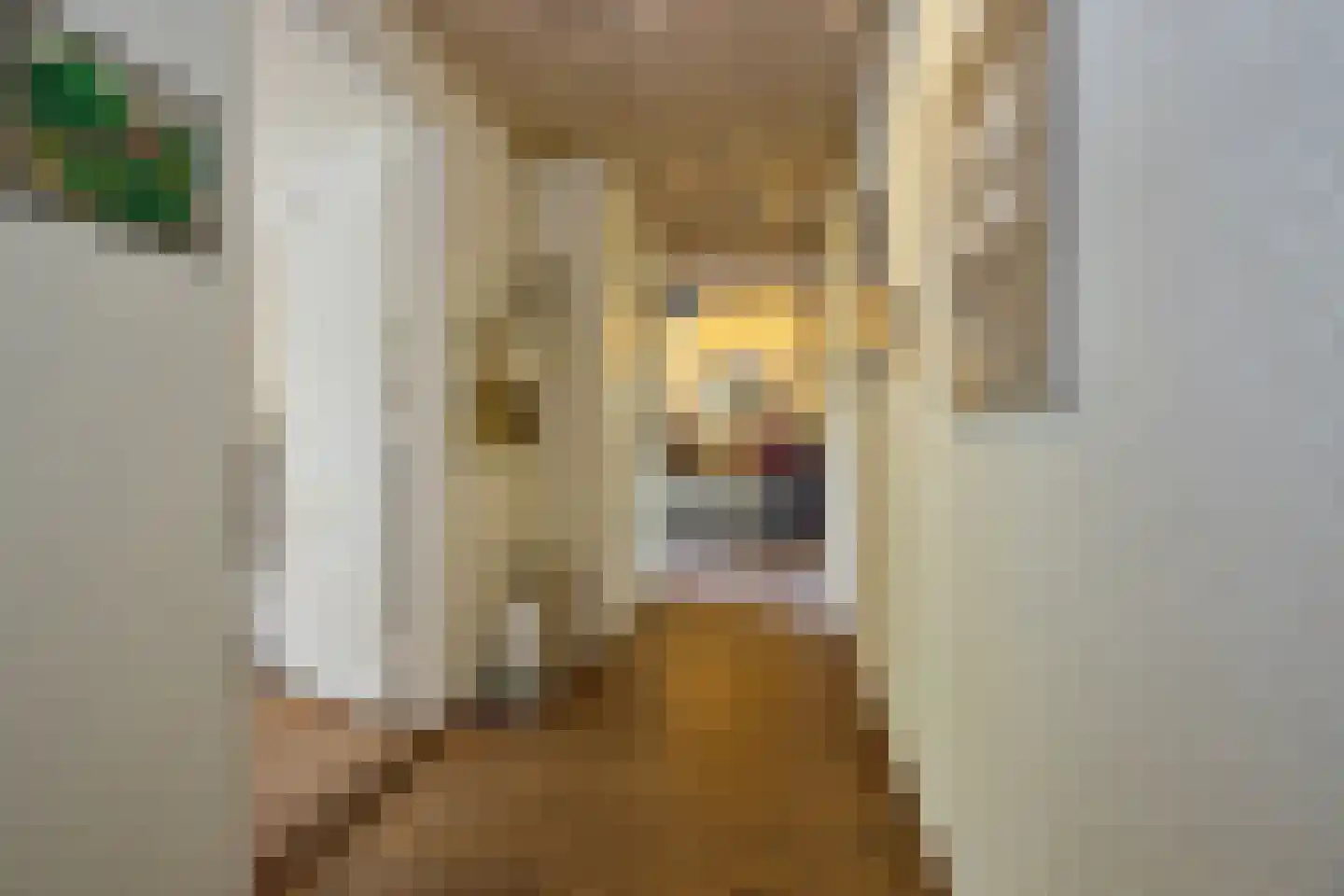 Rijksstraatweg 128 Glimmen thumbnail 24