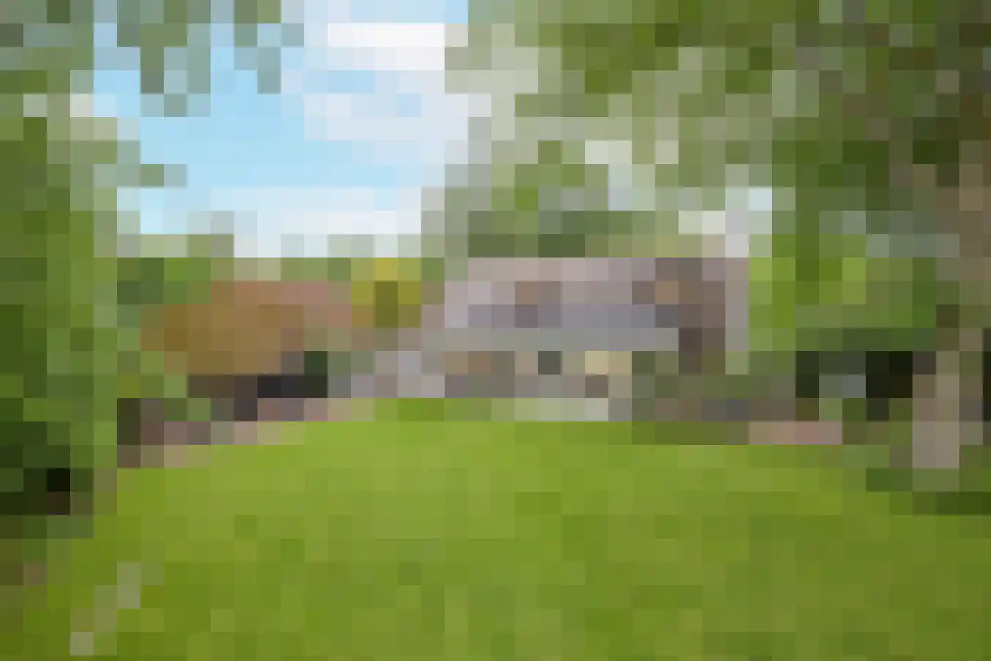 Rijksstraatweg 128 Glimmen thumbnail 37