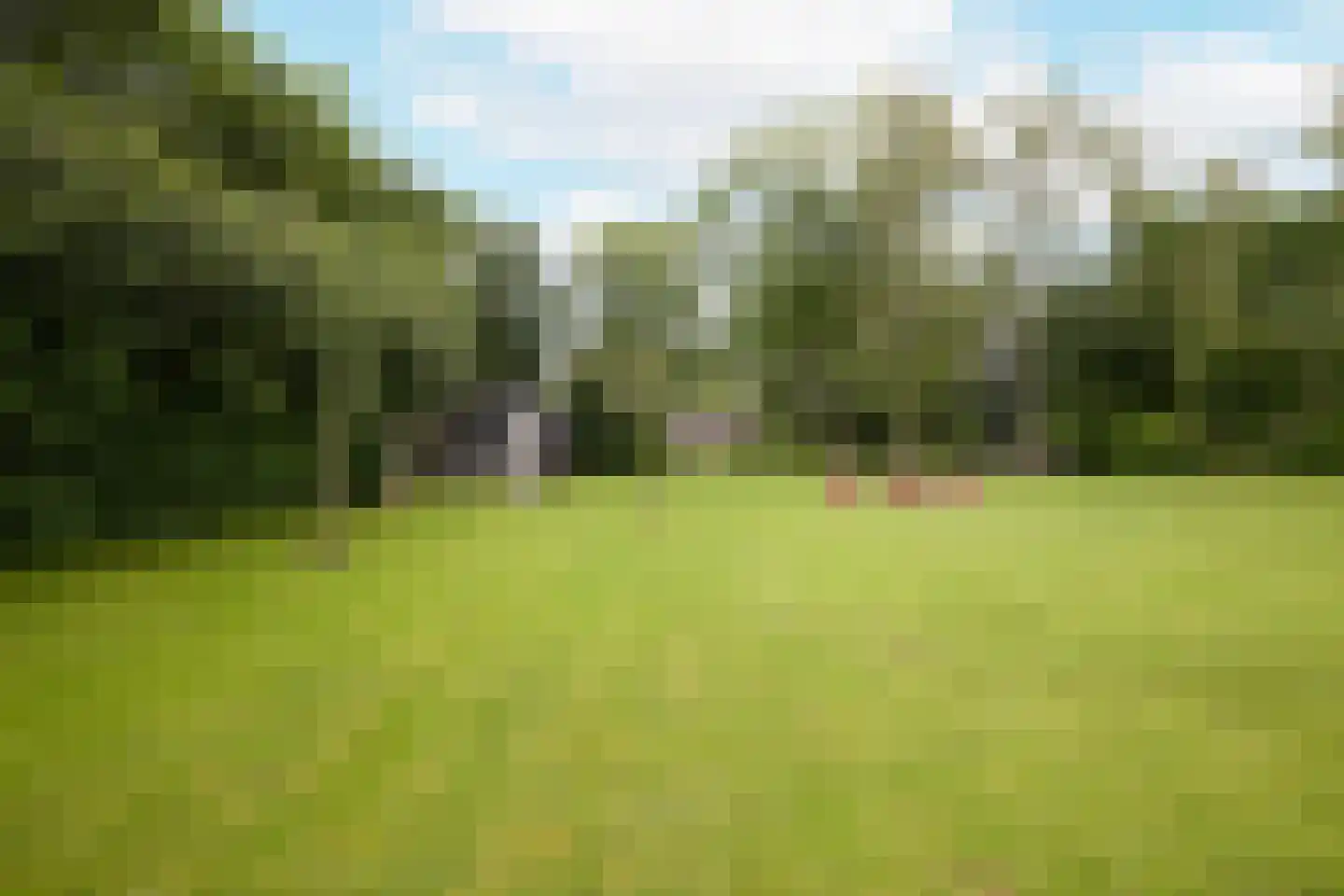 Rijksstraatweg 128 Glimmen thumbnail 38