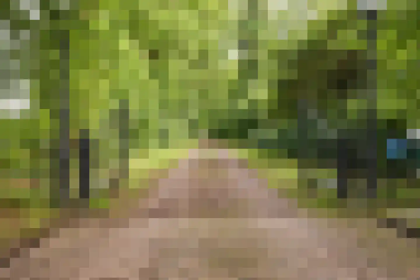 Rijksstraatweg 128 Glimmen thumbnail 4