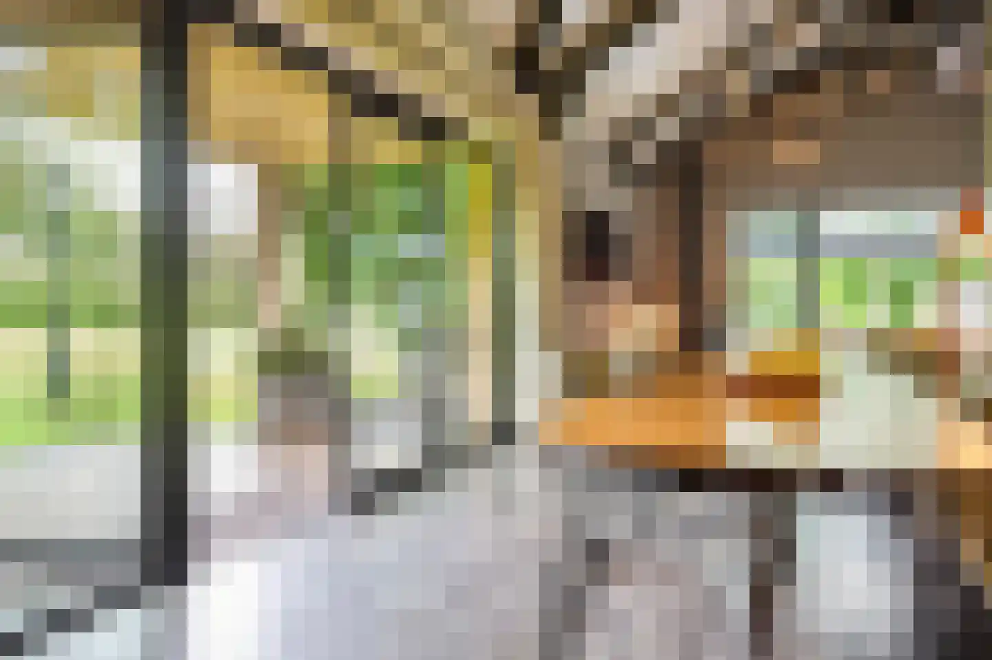 Rijksstraatweg 128 Glimmen thumbnail 42