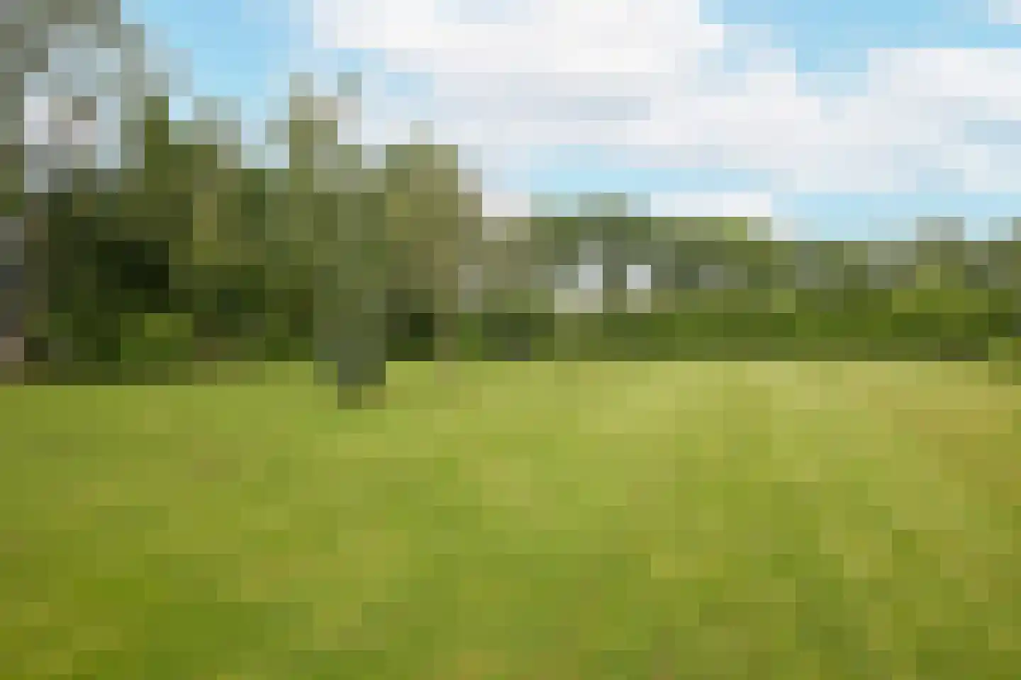 Rijksstraatweg 128 Glimmen thumbnail 53