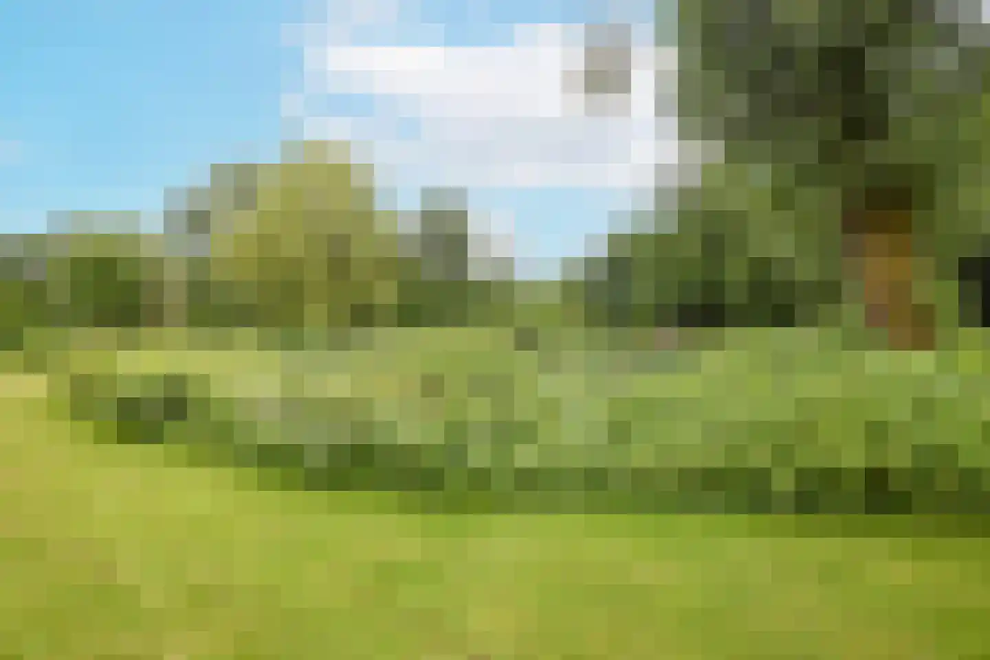 Rijksstraatweg 128 Glimmen thumbnail 54