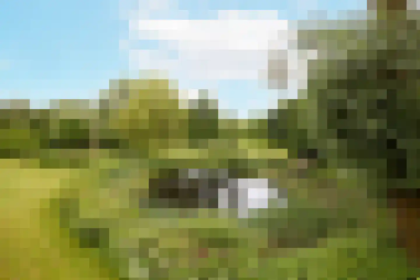 Rijksstraatweg 128 Glimmen thumbnail 55