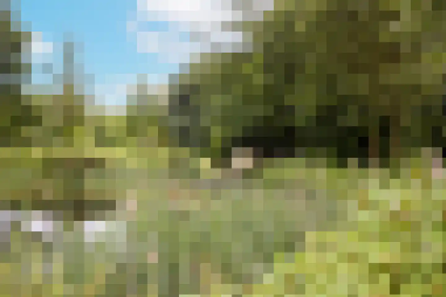 Rijksstraatweg 128 Glimmen thumbnail 56