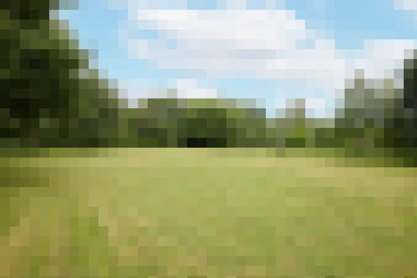 Rijksstraatweg 128 Glimmen thumbnail 57