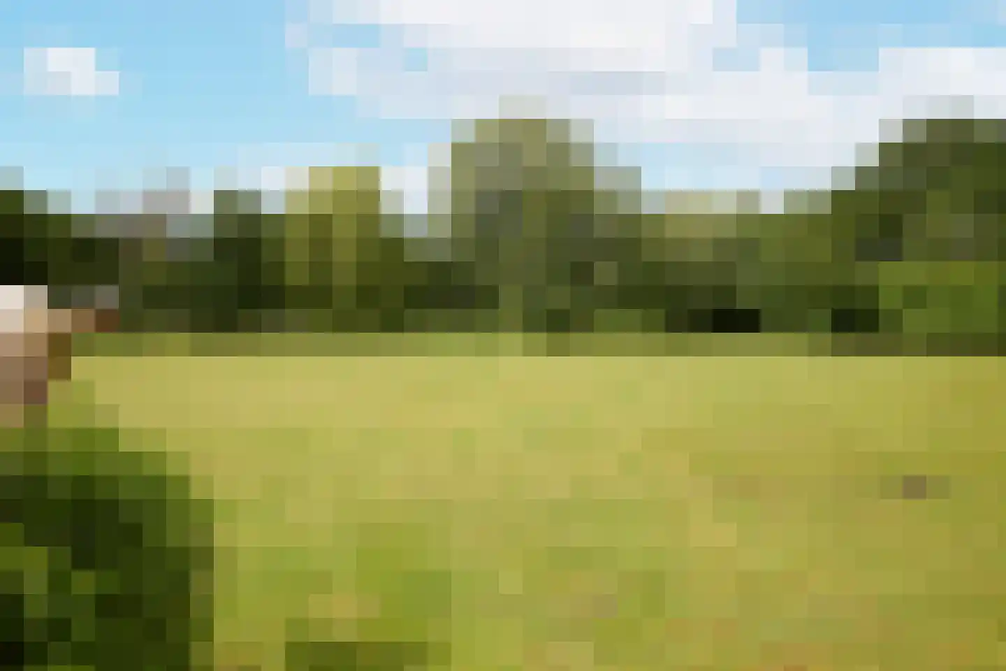Rijksstraatweg 128 Glimmen thumbnail 58
