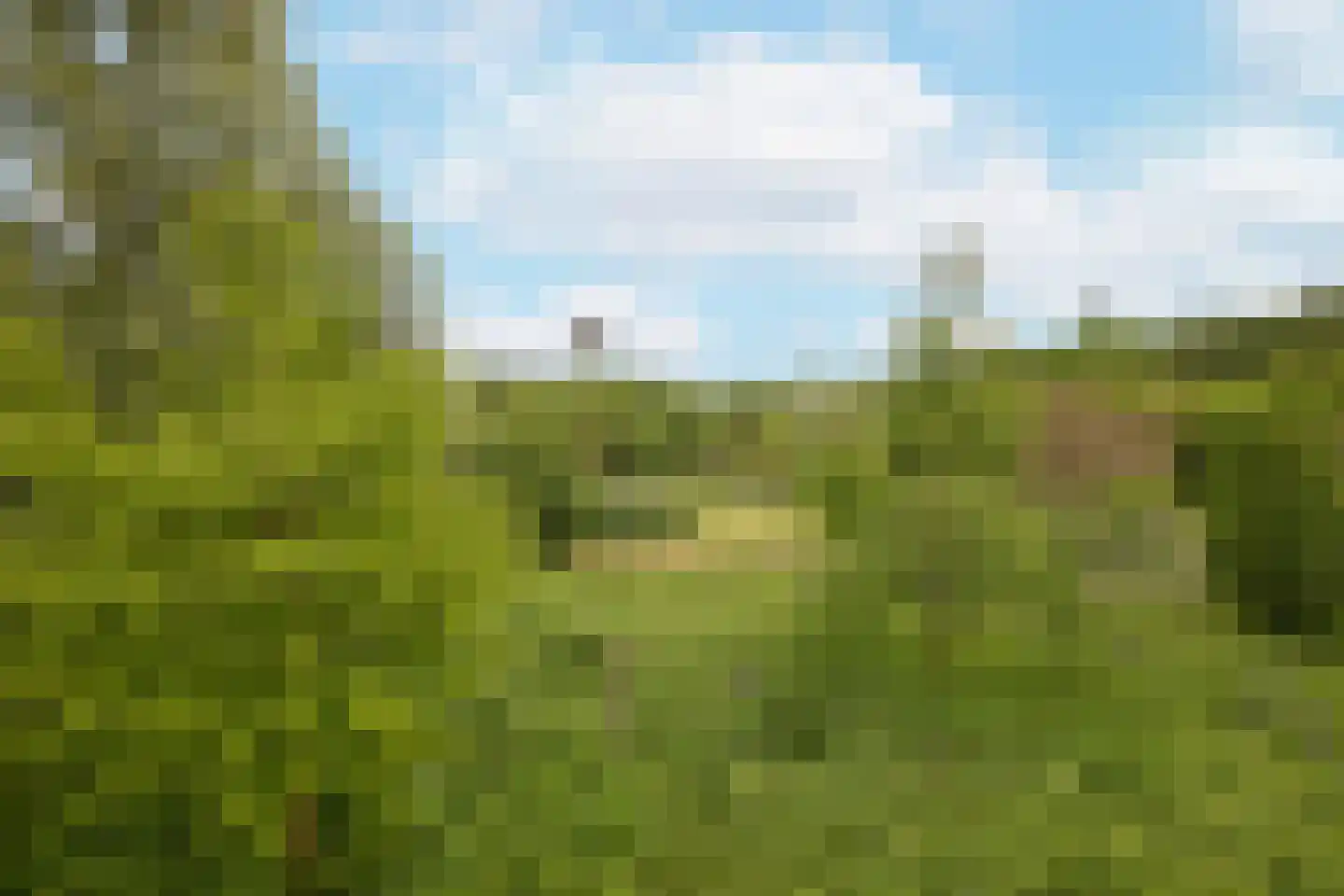 Rijksstraatweg 128 Glimmen thumbnail 59