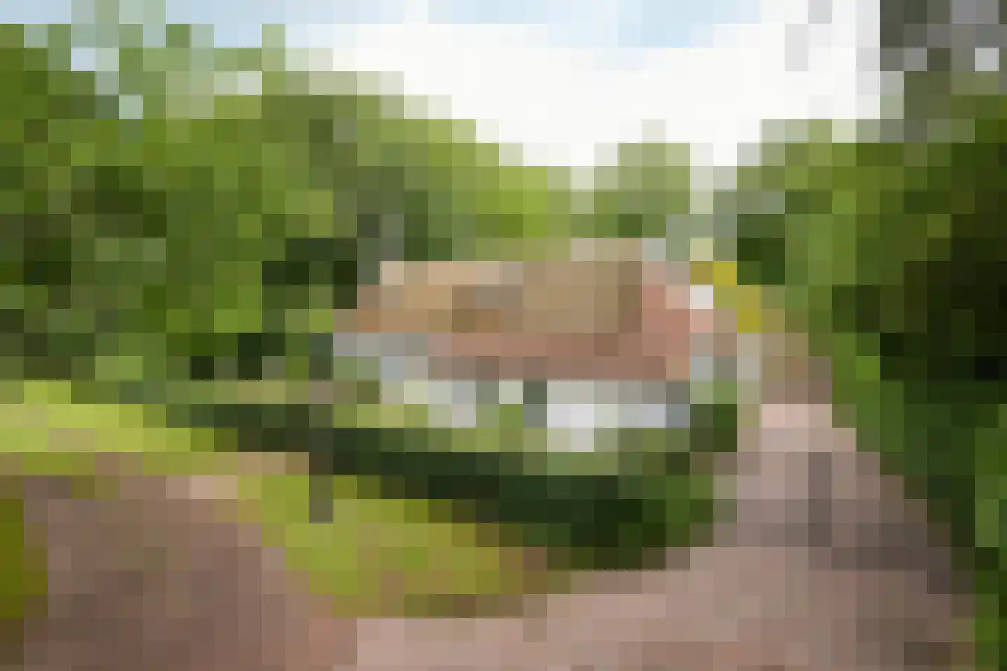 Rijksstraatweg 128 Glimmen thumbnail 6