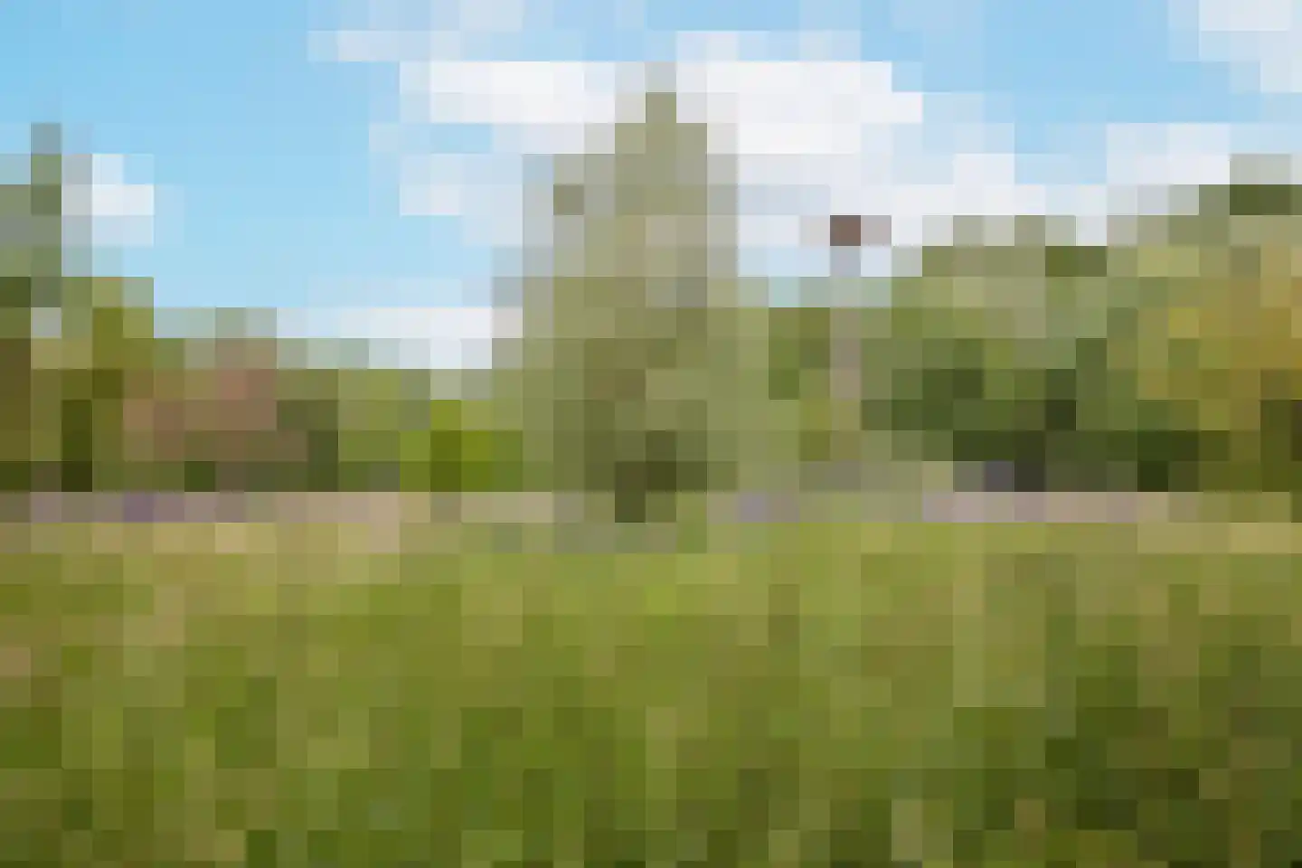 Rijksstraatweg 128 Glimmen thumbnail 60