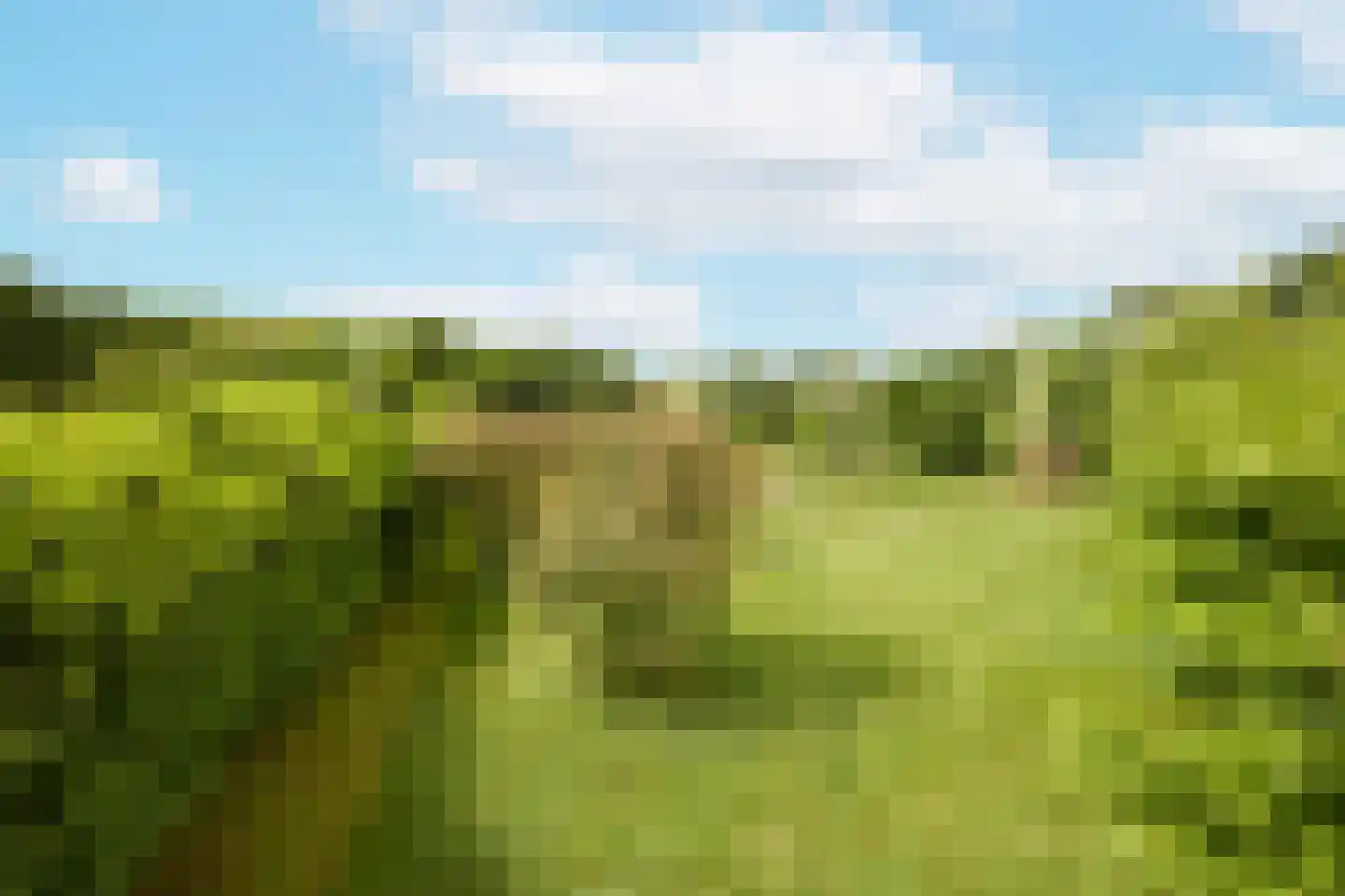 Rijksstraatweg 128 Glimmen thumbnail 61
